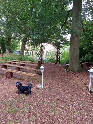New Woodland Wedding area at Langley Castle, Northumberland