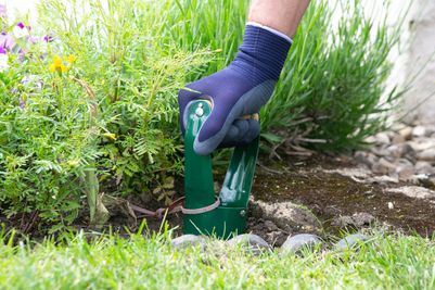 _carbon-steel-fixed-bulb-planter-1111291wg_Med.jpg