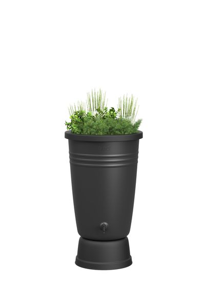 green basics rainbarrel plus 200ltr living black