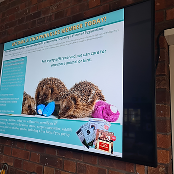 Tiggywinkles Screen 3