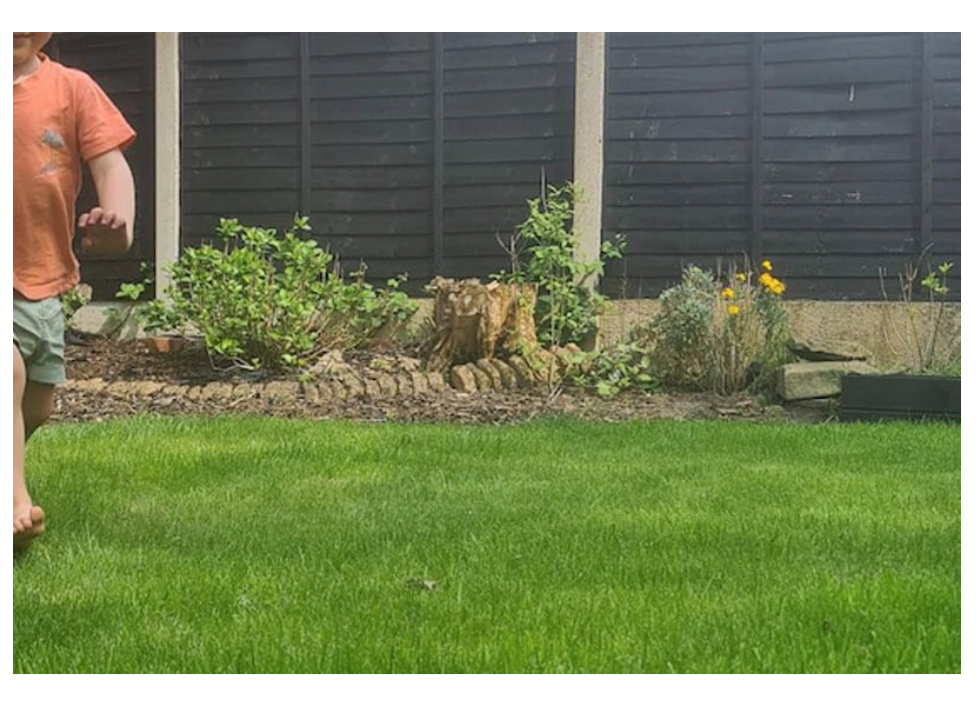 The Relentless Gardener