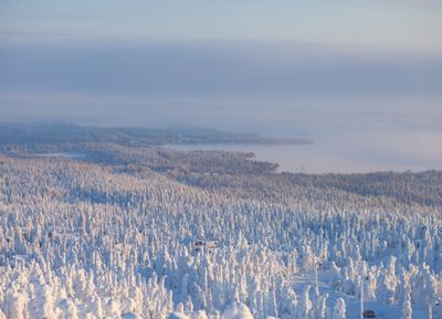 Reclaim Yourself Retreats in Finland cabin in the forest.jpg