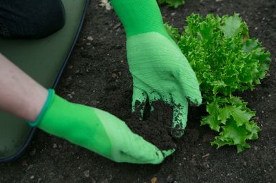 Master Gardener Lite Gloves