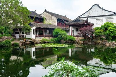 Net Master Garden (3).jpg