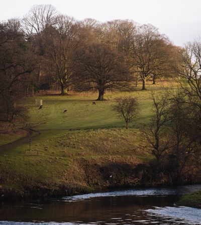 Levens Park, Cumbria, UKw