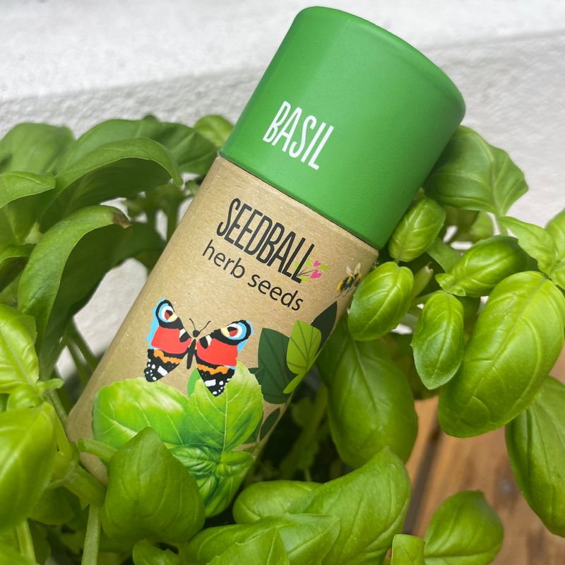 Basil tube