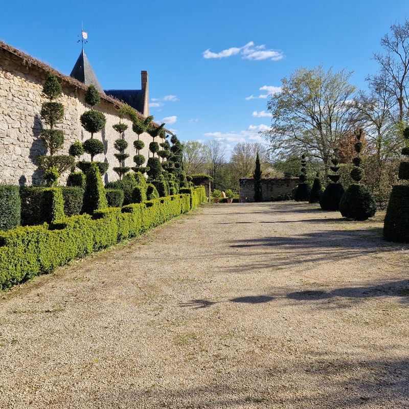 François Vandangeon  - First Place in EU Home Gardener Category