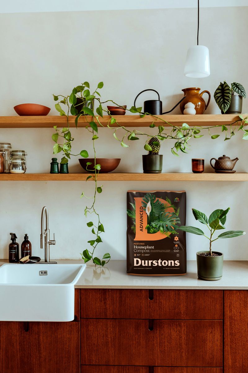 Durstons Advanced Peat Free Houseplant Compost