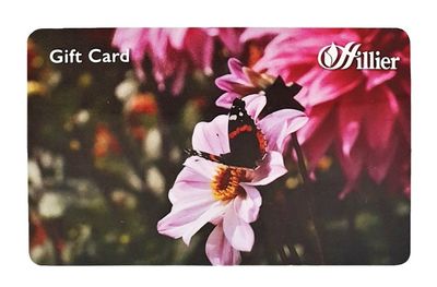 Hillier gift card.jpg