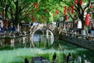 Tongli Ancient Water Town (4).jpg