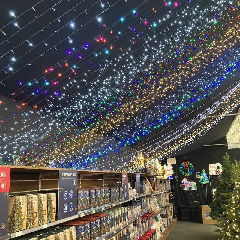 Hillier Garden Centres and Nurseries - Christmas 2024