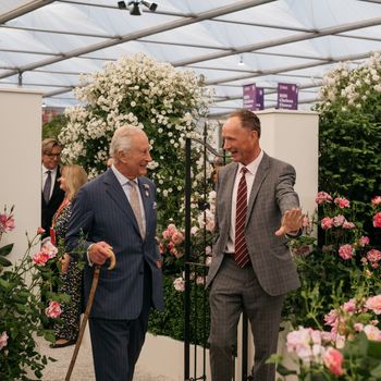 David Austin Roses receive 29th Gold for ‘The King’s Rose’ Showcase at RHS Chelsea Flower Show 2025