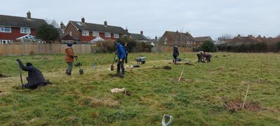 Crowborough Community Orchard 2.jpg