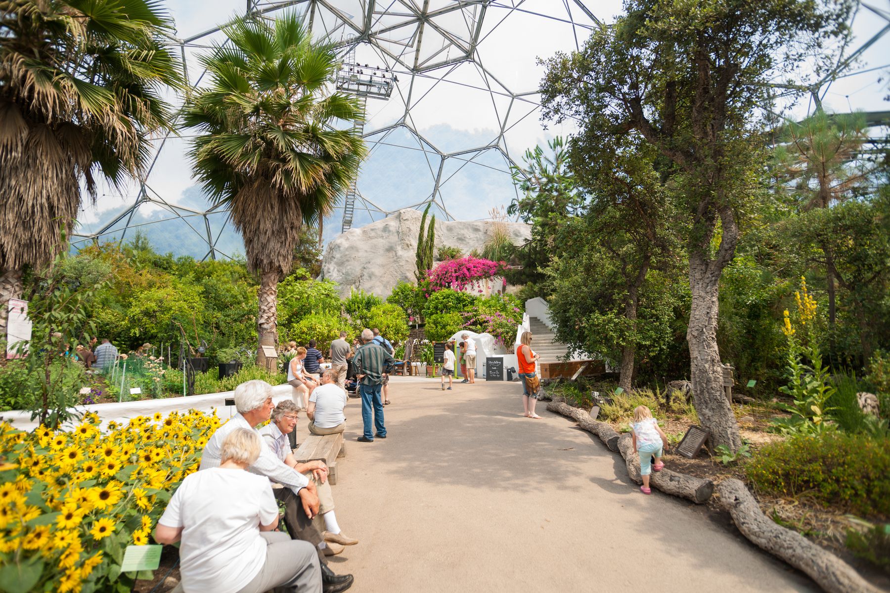 Eden Project, Boundless