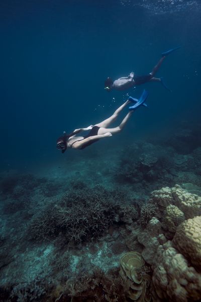 Snorkeling.jpeg