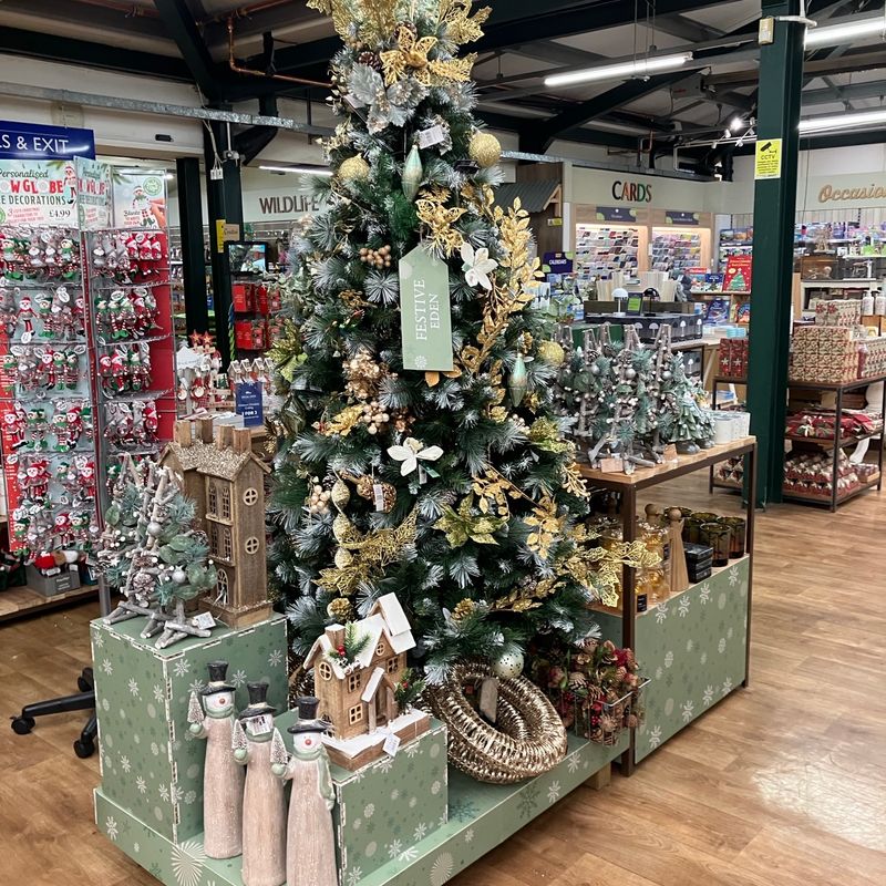 Hillier Garden Centres and Nurseries - Christmas 2024