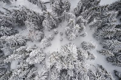 FORESTIS-Aussenansicht-Winter-39.jpg