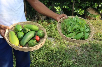 FRESH PRODUCE.JPG
