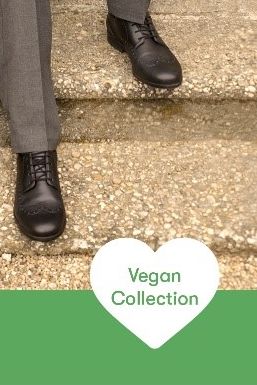 Vegan with banner_257x386.png