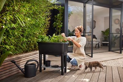 noa grow table