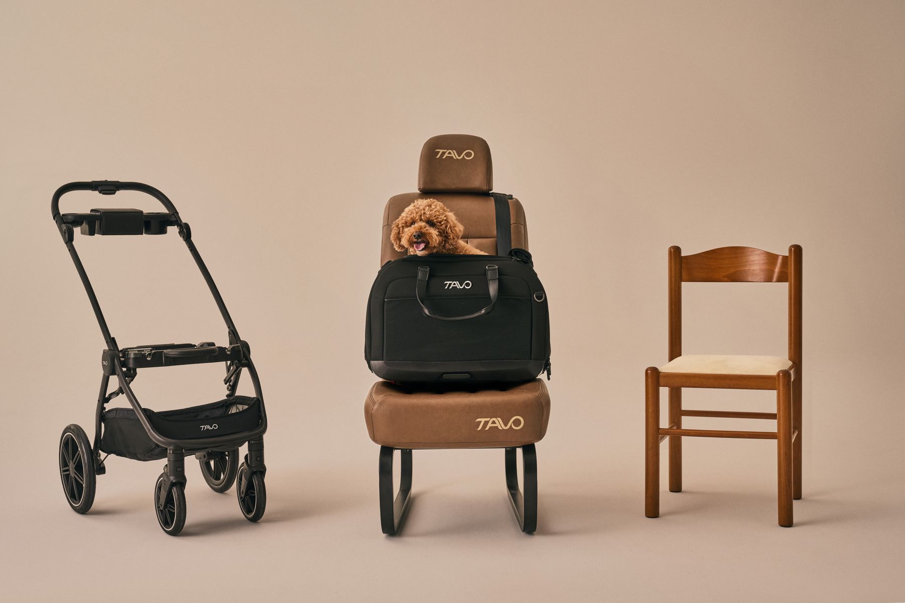 Hendrick Pet Car Seat & Carrier