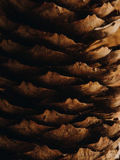YERA-Details-1©Charlotte Lapalus-FORESTIS (25).jpg
