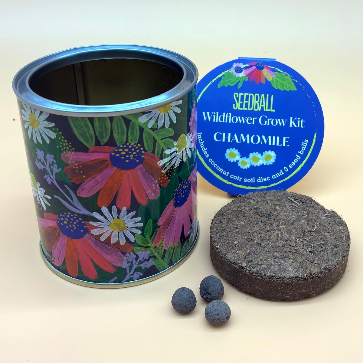Wildflower Grow Kit