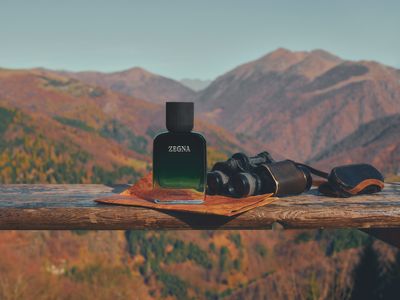 Vol. V — LA PANORAMICA