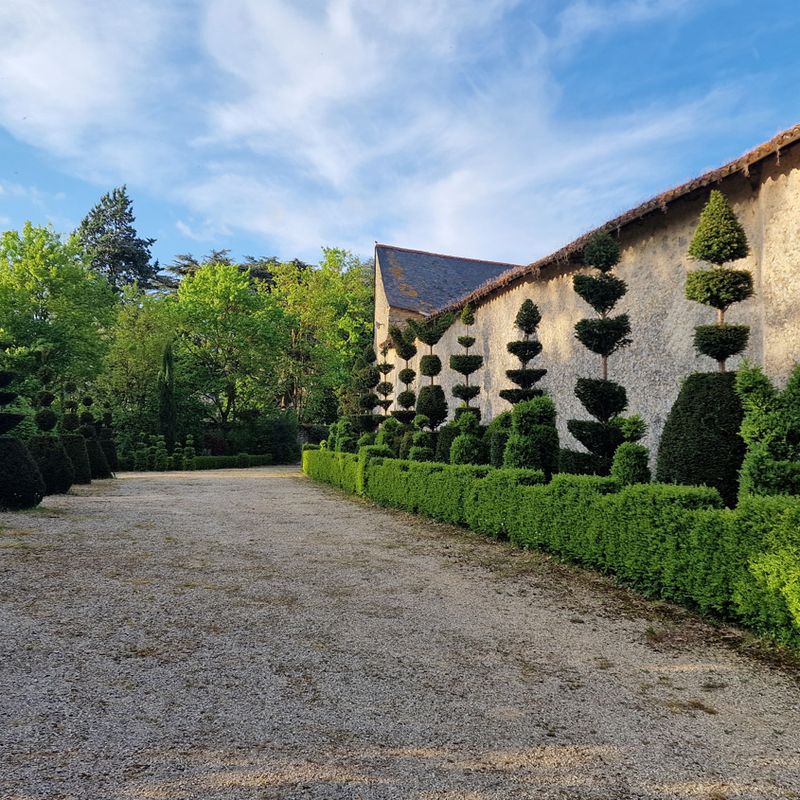François Vandangeon - First Place in EU Home Gardener Category