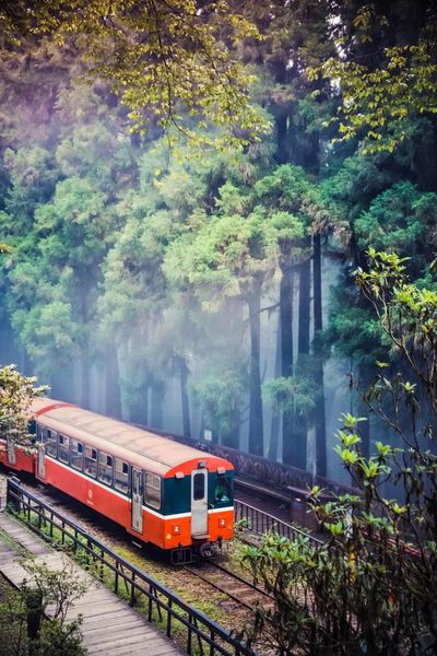 Alishan (1).jpg