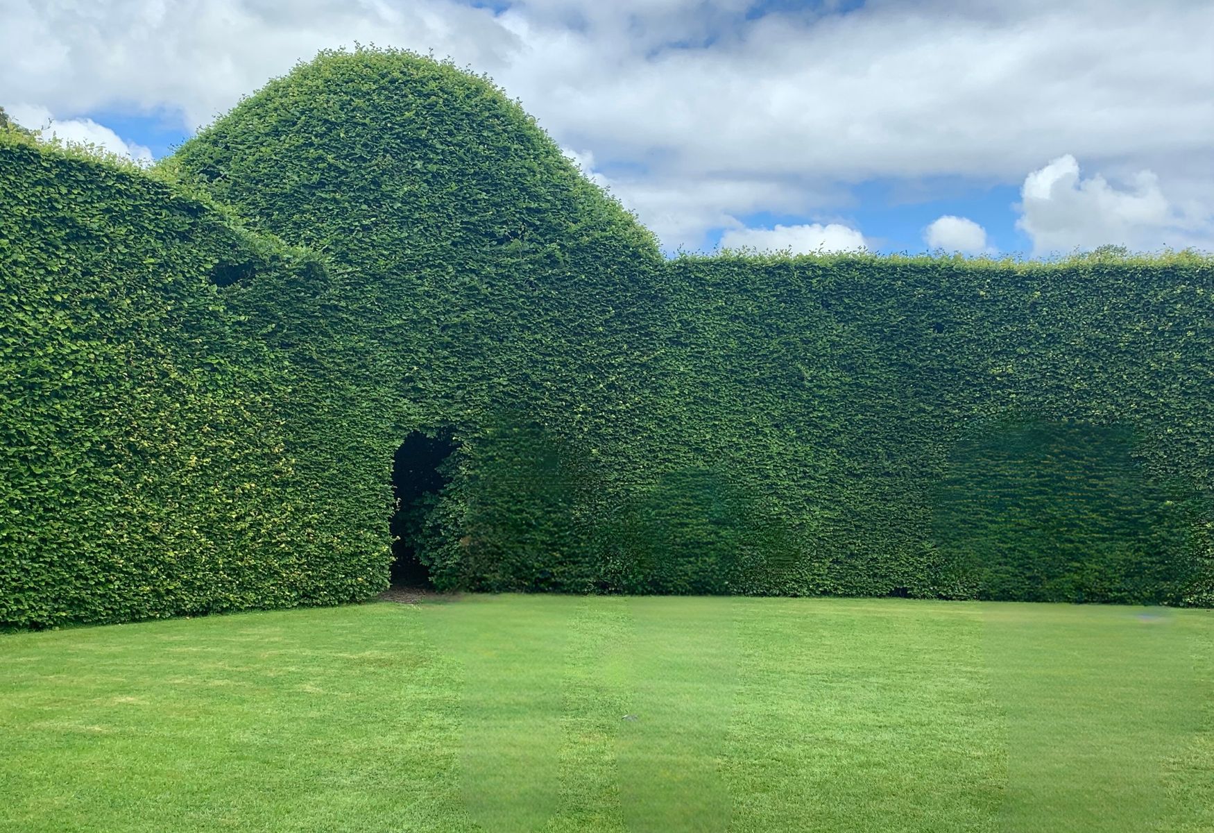 The huge Beech Hedge encircling the Beech Circle at Levens Hall and Gardens, Cumbria