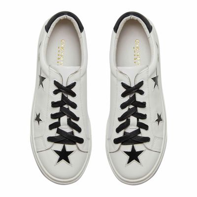Hoxton White with Black Stars