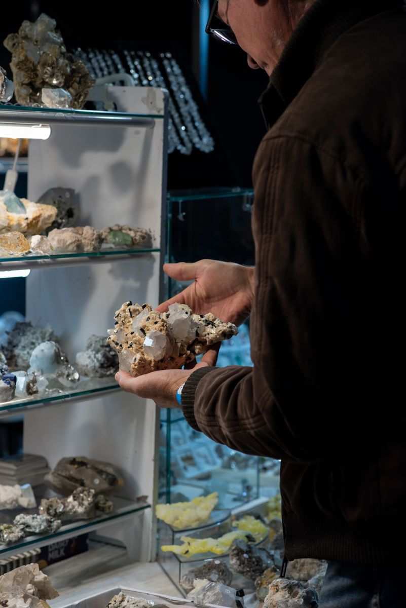 London Gem and Mineral Show 2024_591.JPG