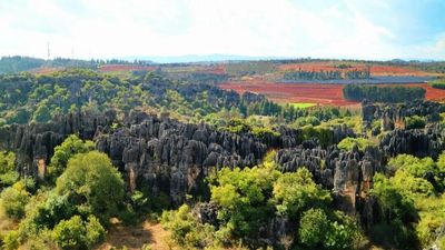 Stone Forest (11).jpg