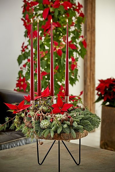 2022_poinsettia_02000_Urban_Loft_Christmas_32.jpg