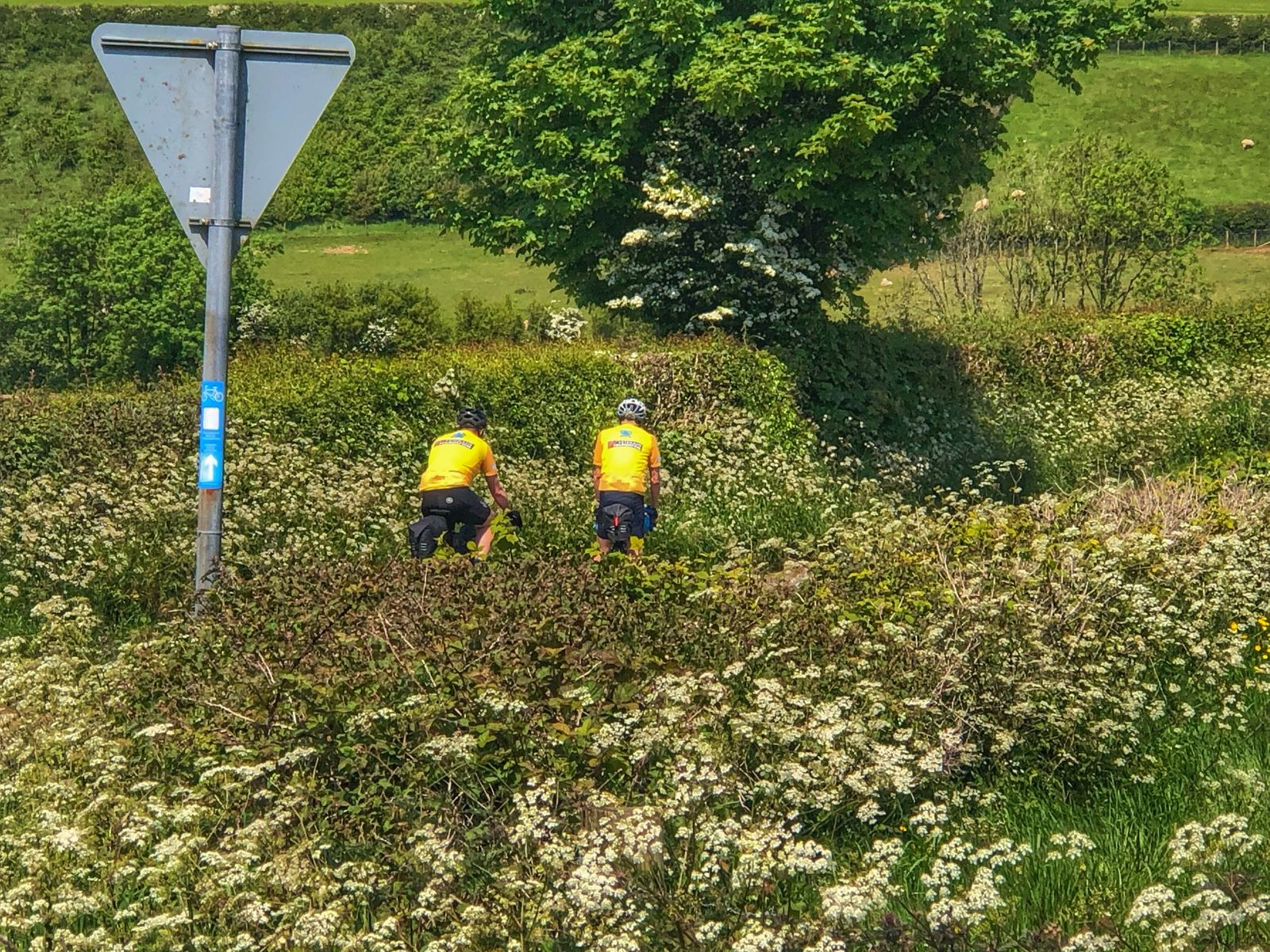 Image-4.jpg