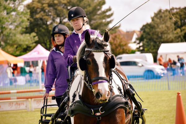 Driving Team