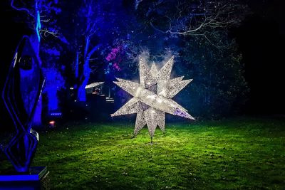 Christmas Light Trail at Alnwick Gardens.jpg