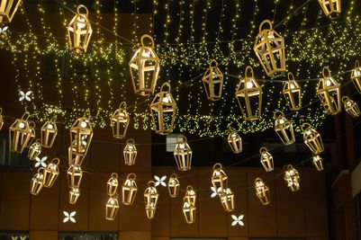 PinPep_TheYardsXmasLights_SJ_055.JPG