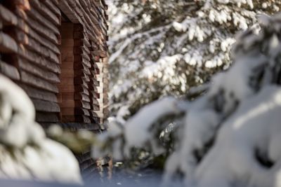 OdlesLodge-Nature-Winter-©Odles Lodge_Konstantin Volkmar (25).jpg