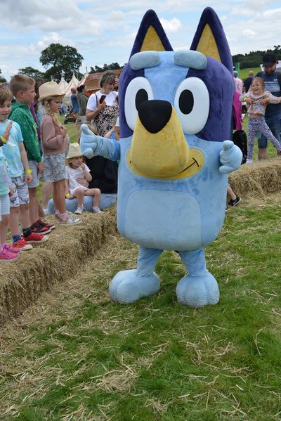 Bluey (1).jpg