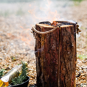 The Swedish Torch Log from Kindwood.jpg