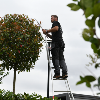 Andy the Hedge Barber