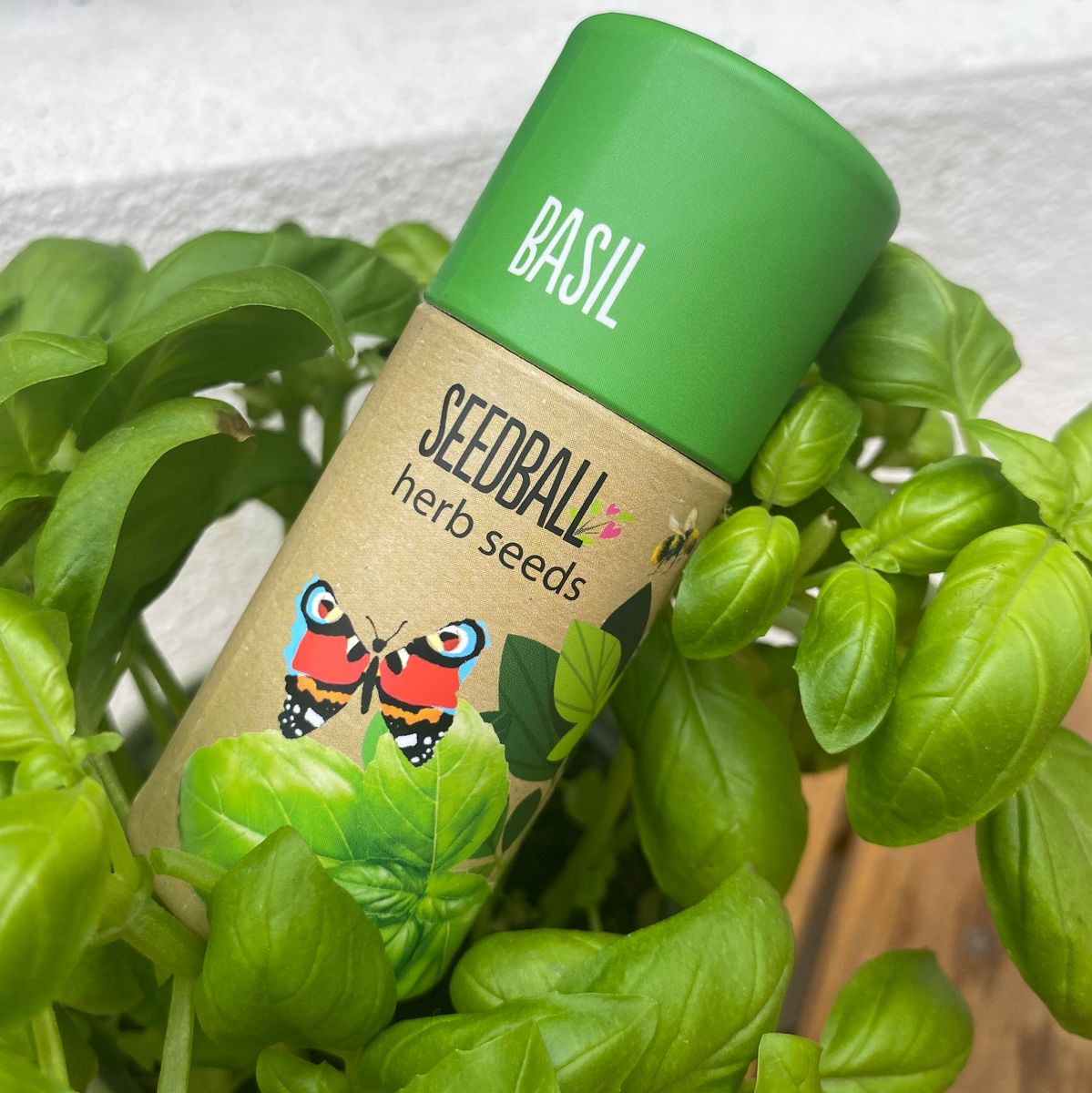 Basil herb tube