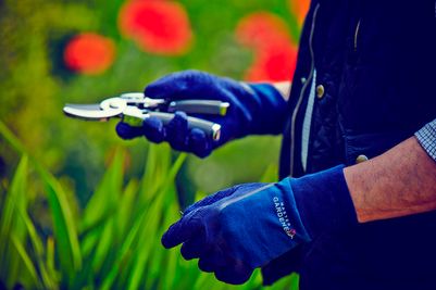 _master-gardener-navy-tgl5235_Med.jpg