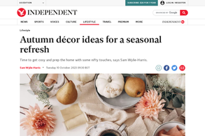 Screencapture of The Independent