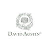 David+Austin+Logo+2.png