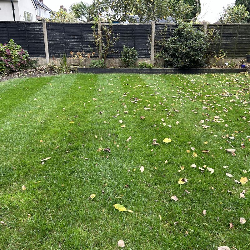 The Relentless Gardener