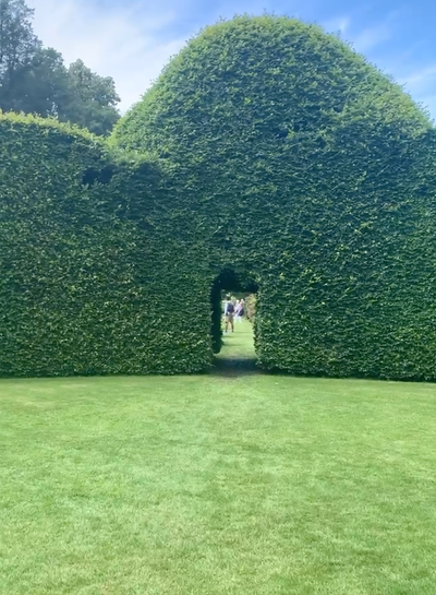 Looking through the huge Beech Hedge from the Beech Circle at Levens Hall and Gardens, the South Lakes, Cumbria