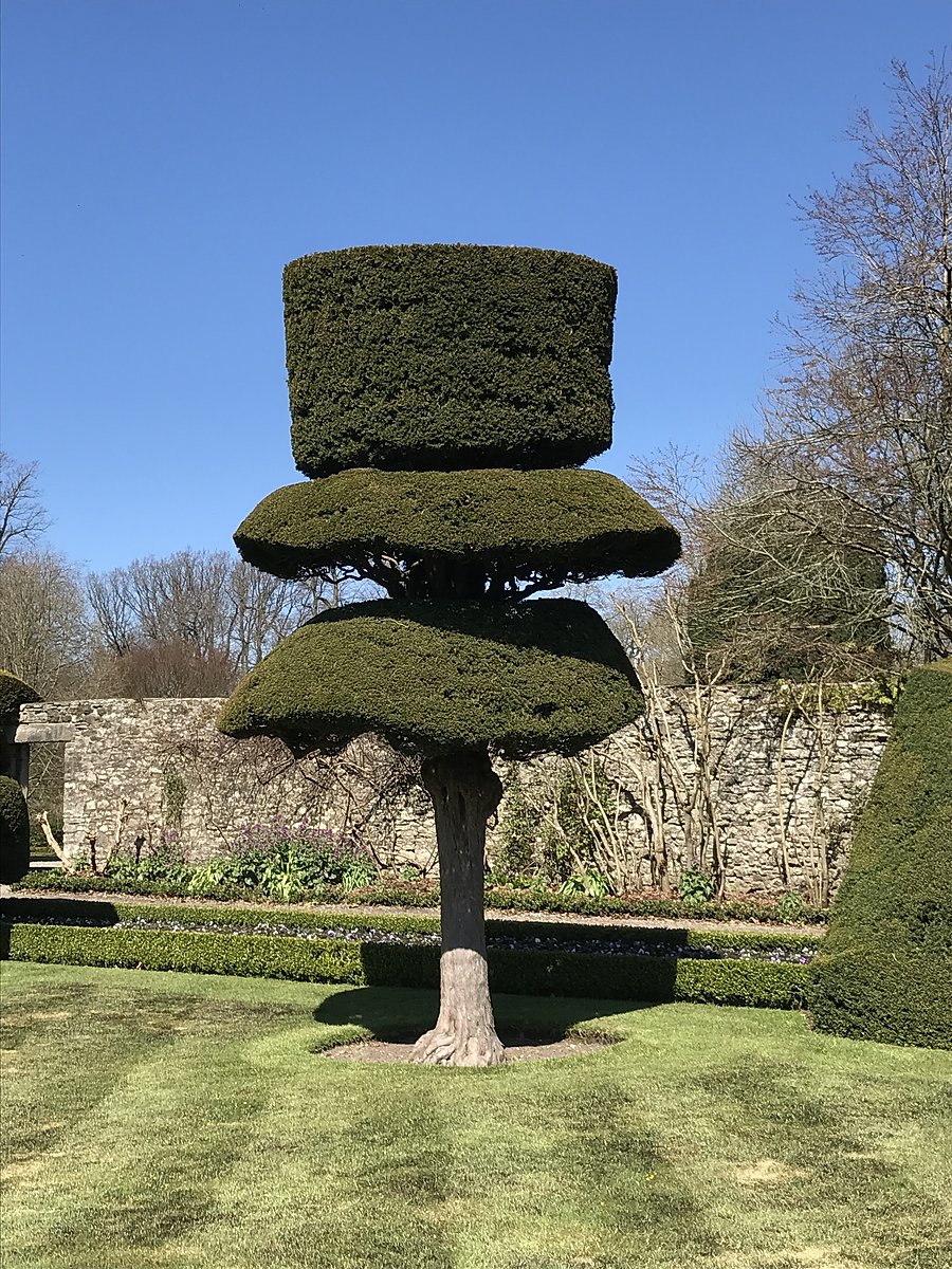 Topiary at Levens Hall, Cumbria, UK